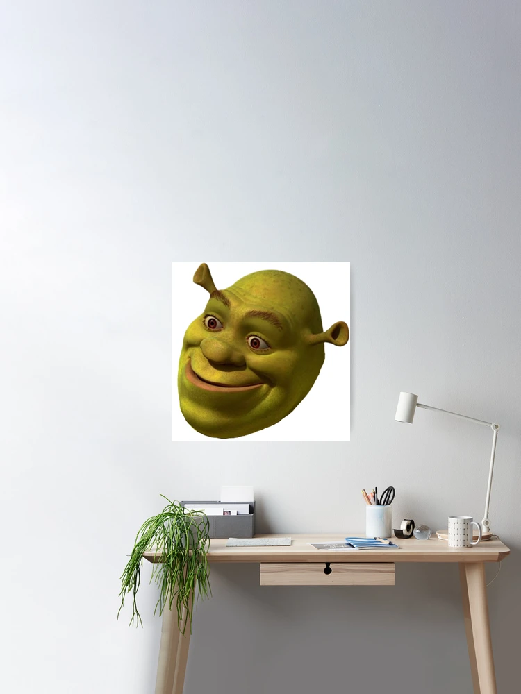 Shrek Funny 'WTF' Face Meme | Photographic Print