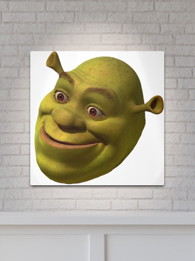 Shrek's funny face [1000x1000] : r/MemeRestoration