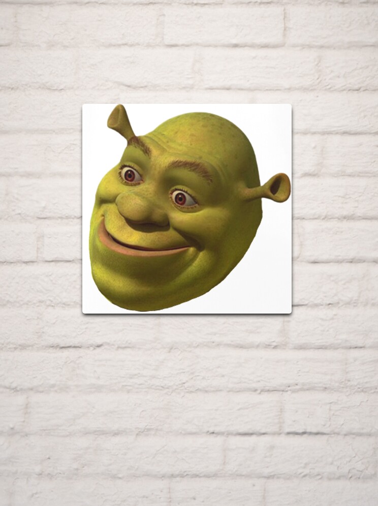 Screaming Shrek  Metal Print for Sale by SunnyMoonCrafts