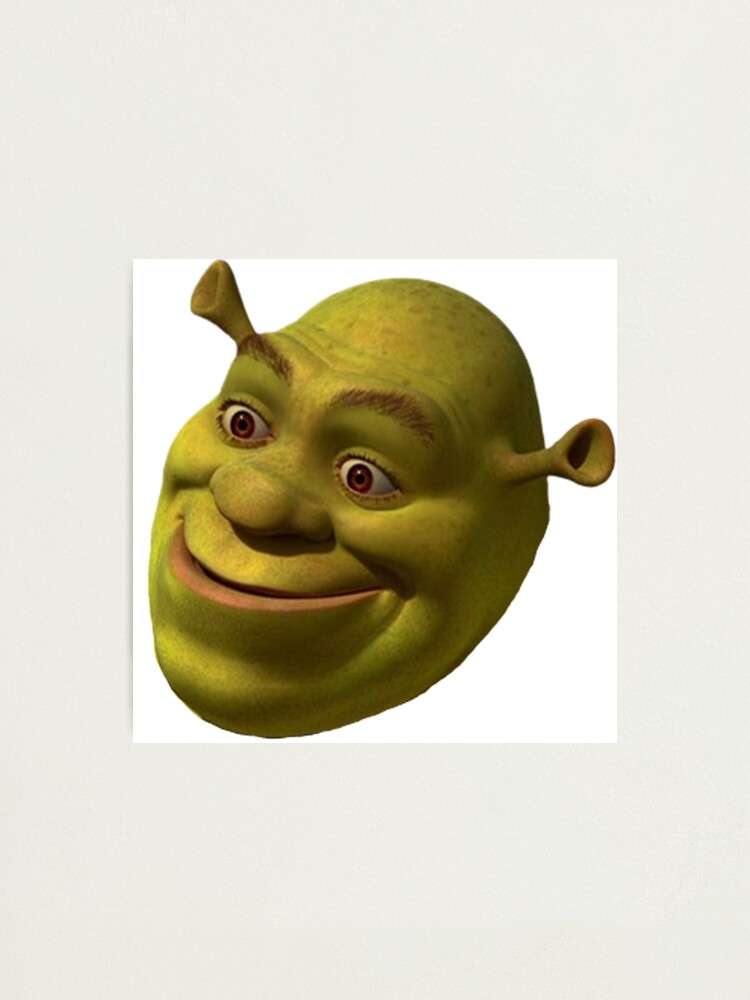 Shrek Funny 'WTF' Face Meme | Photographic Print