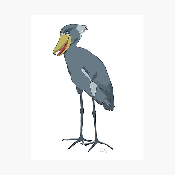 Item preview, Shoebill Stork Original Artwork designed and sold by AilyMarie.