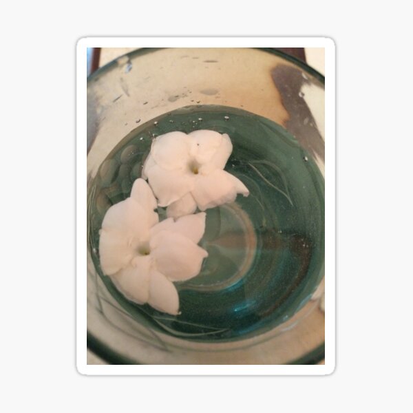 Sweet Jasmine Encircled Elixir Sticker