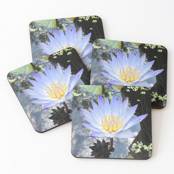 Item preview, Beautiful Water Lilly Photo designed and sold by Amazing Arts Designs.