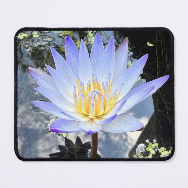 Item preview, Beautiful Water Lilly Photo designed and sold by Amazing Arts Designs.