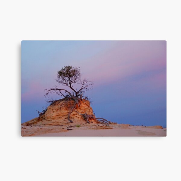 Mungo rock and tree Canvas Print