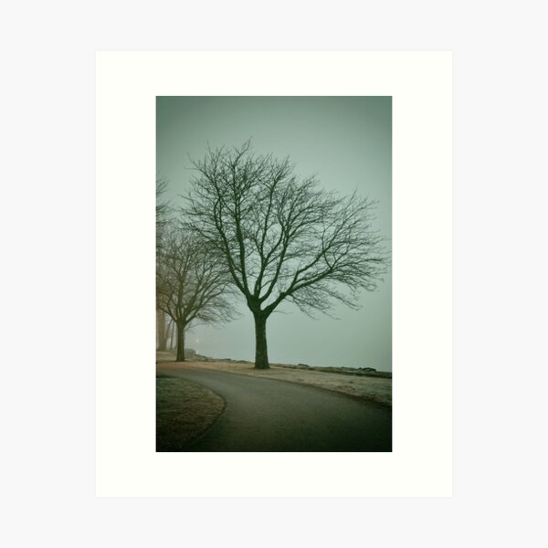 Item preview, Tree in fog designed and sold by Anki Hoglund.