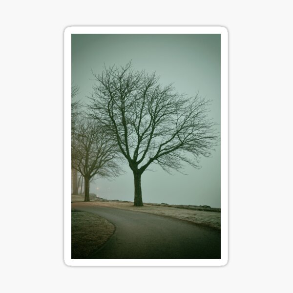 Item preview, Tree in fog designed and sold by Anki Hoglund.
