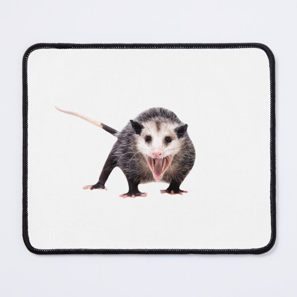 Item preview, Possum Screaming designed and sold by makayla826.