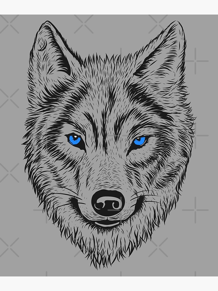 "black wolf with blue eyes " Photographic Print for Sale by