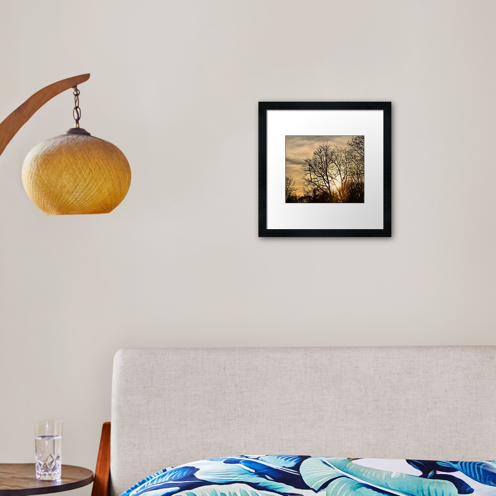 Tree in Golden Hour Framed Art Print