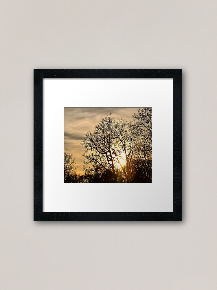 Alternate view of Tree in Golden Hour Framed Art Print