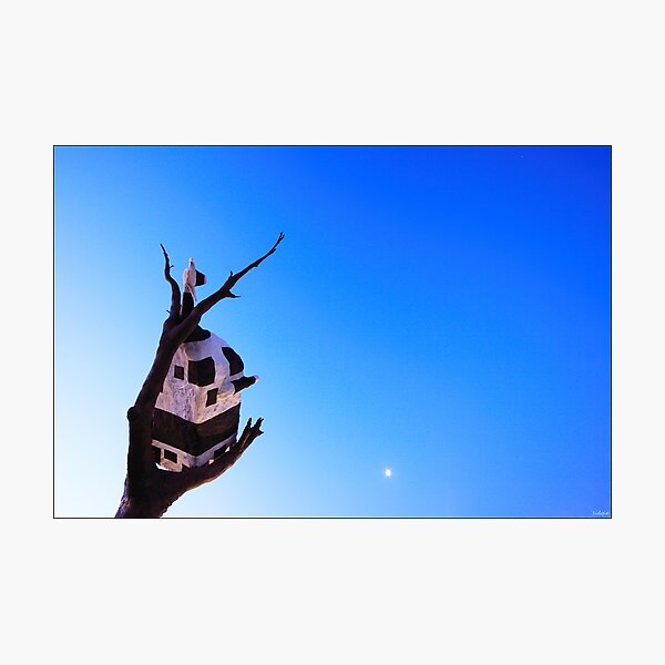 Under The Moonlight Photographic Print