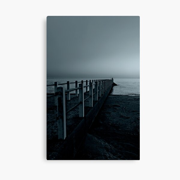 Moonlight Escapades Canvas Print