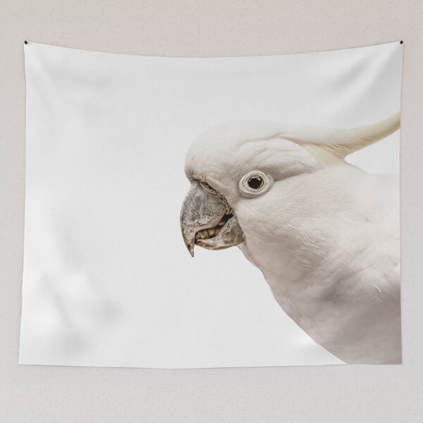 Item preview, Cocky designed and sold by bella photoaus.