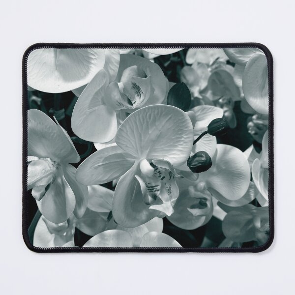 Item preview, White and Black Orchids, Flower Photography, Nature, Plant designed and sold by Gulnaz Turdalieva.