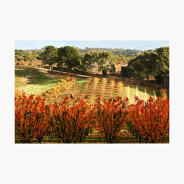 Item preview, Uraidla South Australia designed and sold by Helen  Page.