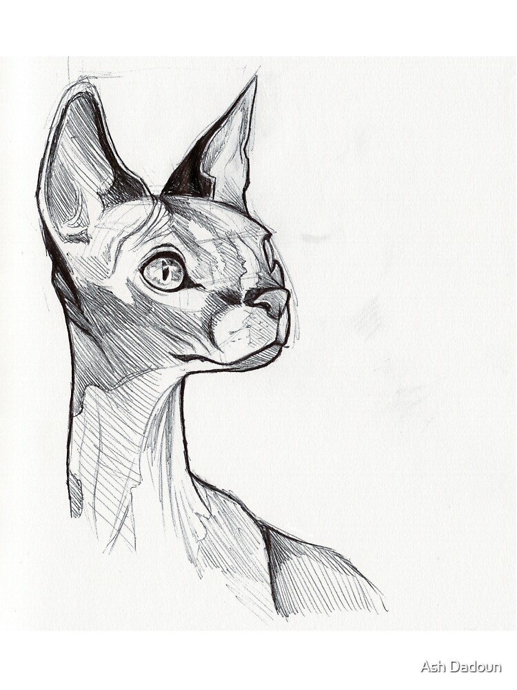 Thumbnail 2 of 2, Baby T-Shirt, Sphynx Cat designed and sold by Ash Dadoun.