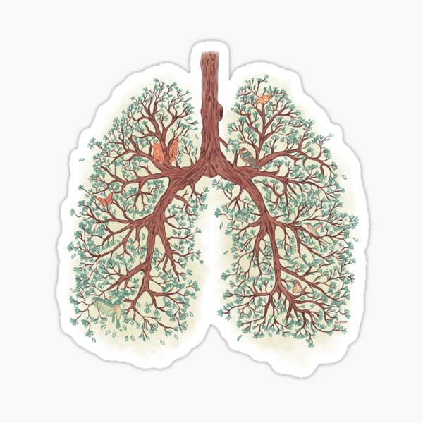 Lungs Sticker