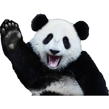 Artwork thumbnail, panda baby by jackiekeating