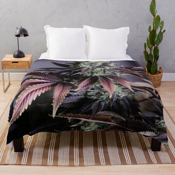 Item preview, Purple Fade. Cannabis Flower With Stunning Leaves. designed and sold by IMPHives.