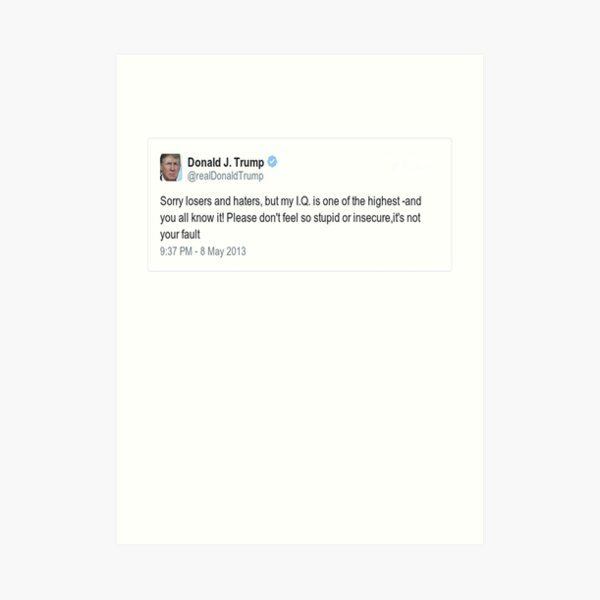 Trump Tweet Art Print