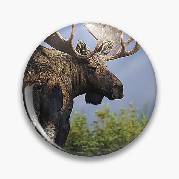 Item preview, Moose funny nice butt christmas   designed and sold by AleehaZenger.