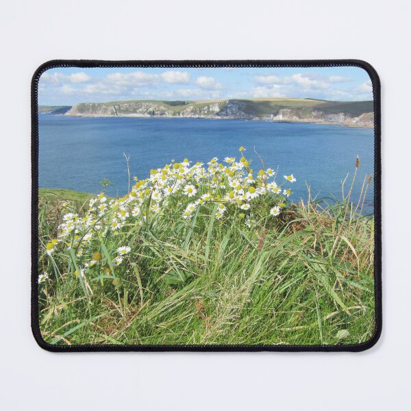 Item preview, Oxeye Daisies At The Summit Of Burgh Island, UK designed and sold by lezvee.