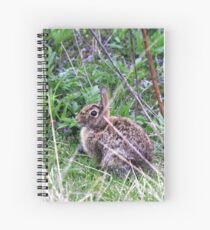 Eastern Cottontail in the Brush Spiral Notebook