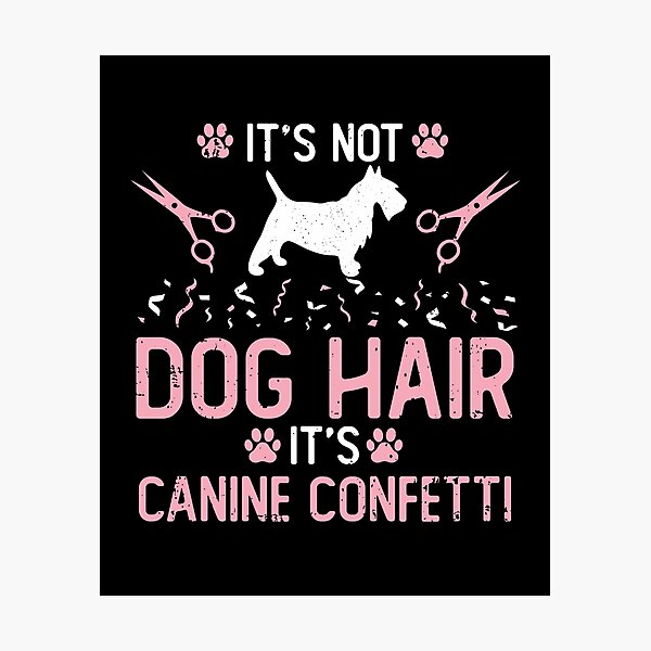 It's not dog hair it's store canine confetti