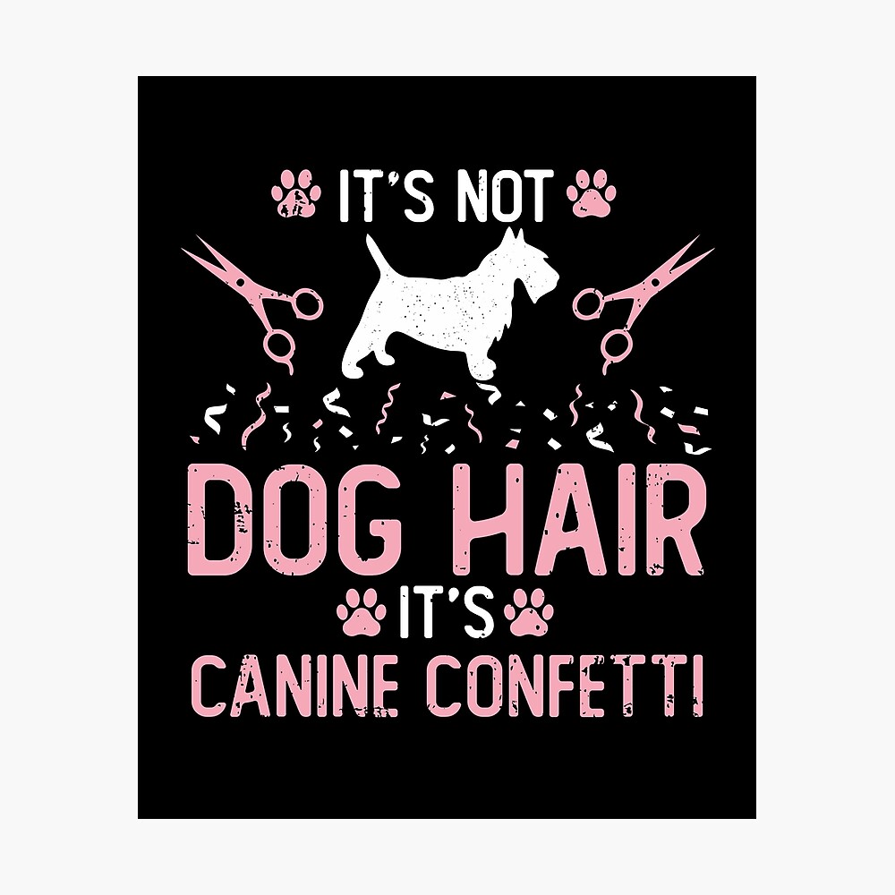 funny-dog-groomer-quotes-ubicaciondepersonas-cdmx-gob-mx