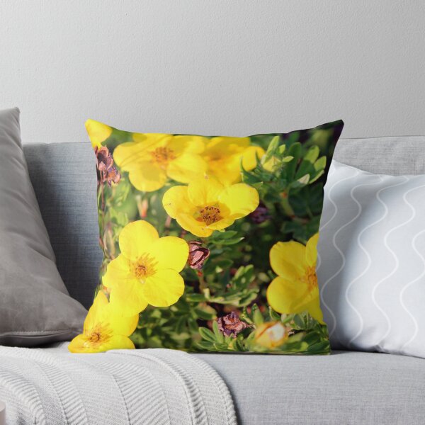 Item preview, Shrubby Cinquefoil - Dasiphora fruticosa subsp. floribunda (Pursh) Kartesz designed and sold by Codee Pyke.