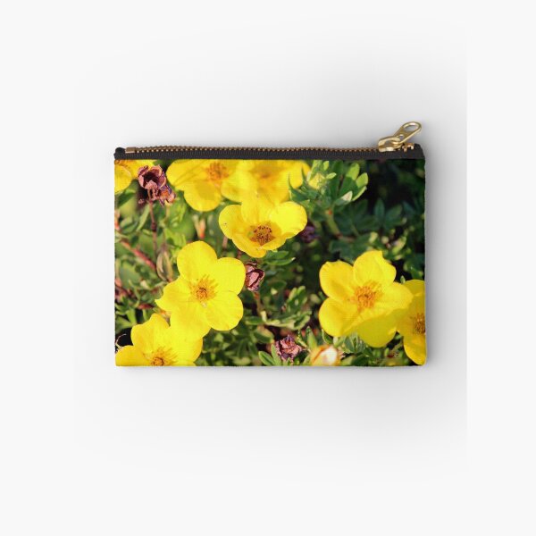 Artikelvorschau, Shrubby Cinquefoil - Dasiphora fruticosa subsp. Floribunda (Pursh) Kartesz entworfen und verkauft von Codee Pyke.