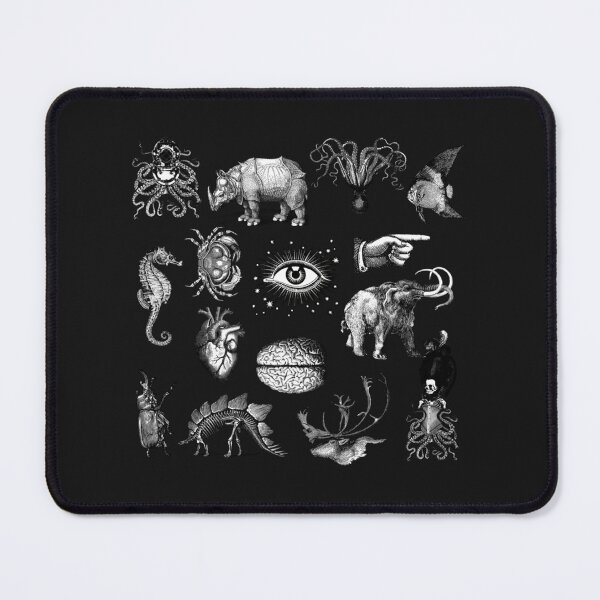 Item preview, Cabinet of curiosities designed and sold by rennerepdrew.