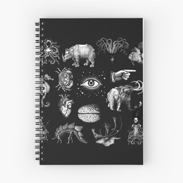 Item preview, Cabinet of curiosities designed and sold by rennerepdrew.