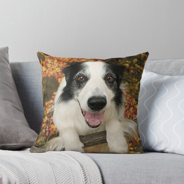 Item preview, Cute Collie in Autumn designed and sold by meg price.