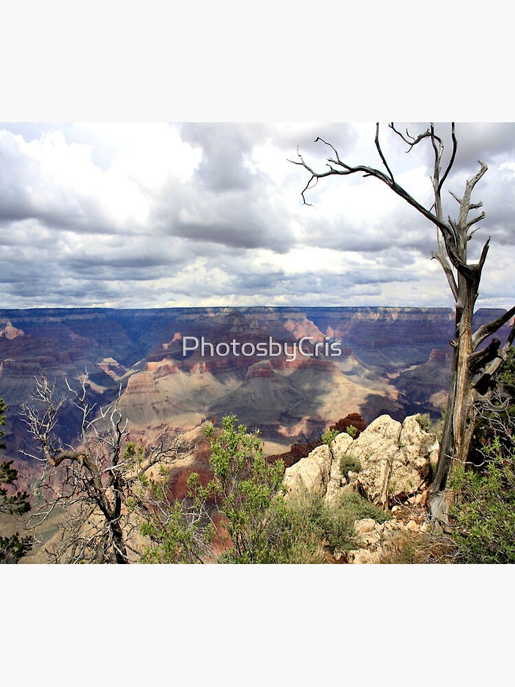 Grand Canyon by PhotosbyCris
