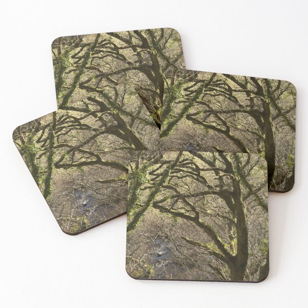Aperçu de l'œuvre Arbres d'Exmoor créée et vendue par Alexandra Lavizzari.