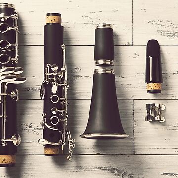 537 Old Clarinet Stock Photos - Free & Royalty-Free Stock Photos from  Dreamstime