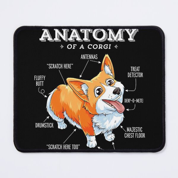 Item preview, Corgi dog anatomy designed and sold by chanchan79.