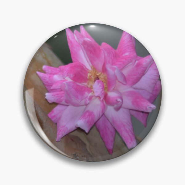 Item preview, Pink Rose designed and sold by MEJBAH09.