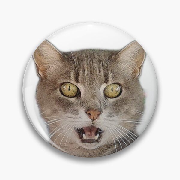 Item preview, Surprised cat close-up designed and sold by Mmark94.