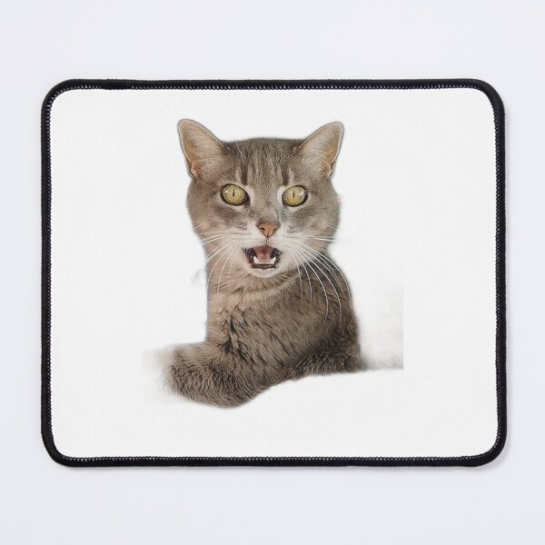 Item preview, Surprised cat close-up designed and sold by Mmark94.