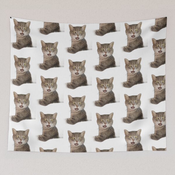 Item preview, Surprised cat close-up designed and sold by Mmark94.