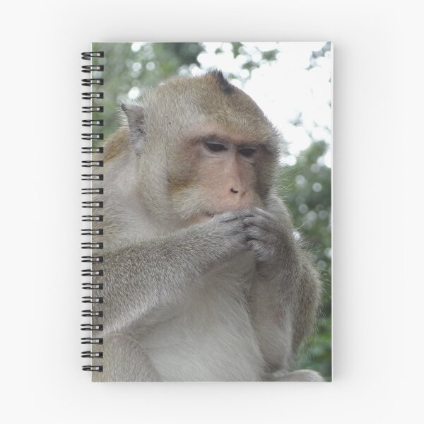 Item preview, Asian Monkey Eating designed and sold by exploramum.