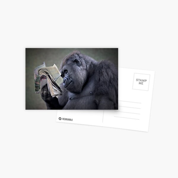 Evolution Postcard