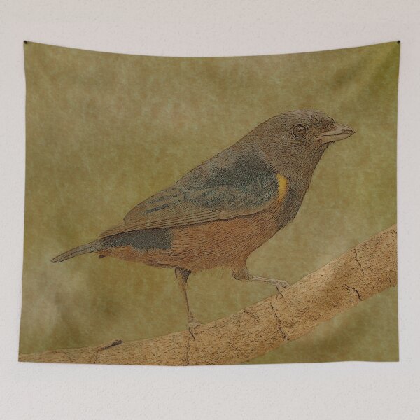 Item preview, Beautiful Red and Blue Bird Line Art designed and sold by ClownFishArts.
