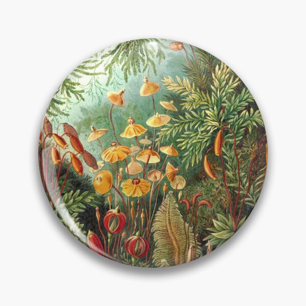 Item preview, Natural World - Haeckel Muscinae designed and sold by Black-Arts.