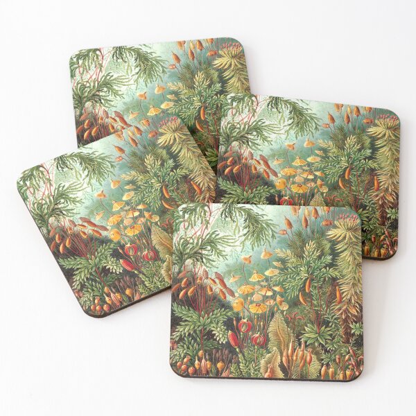 Item preview, Natural World - Haeckel Muscinae designed and sold by Black-Arts.