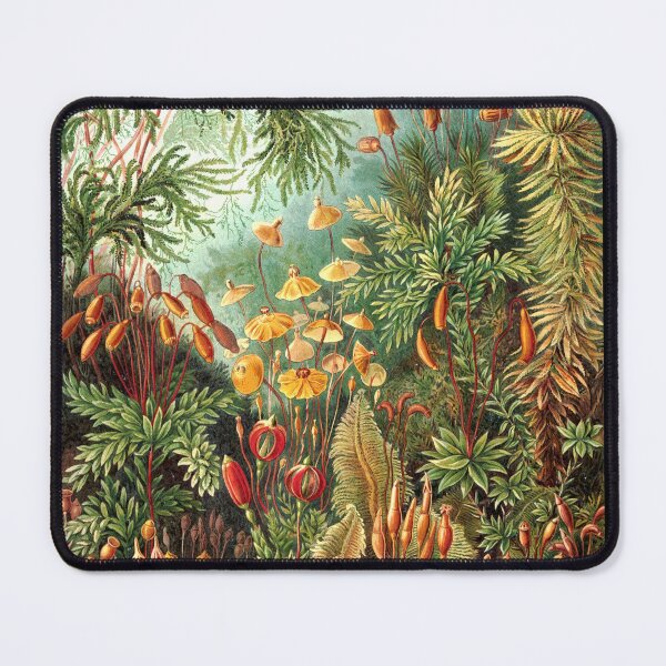 Item preview, Natural World - Haeckel Muscinae designed and sold by Black-Arts.