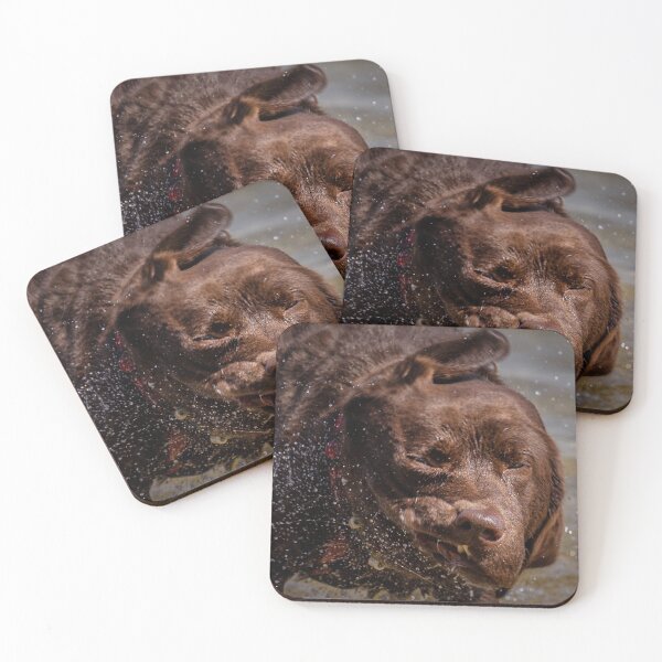 Item preview, Labrador after swimming in Lake Constance designed and sold by OskiOnTour.